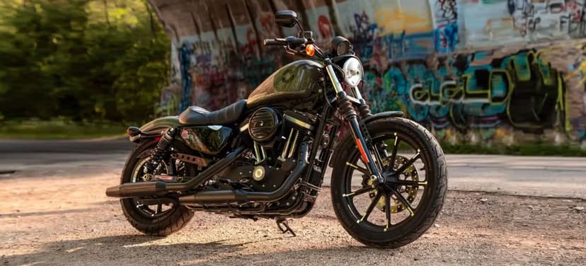 Iron 883 2019
